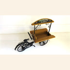 Vintage French Florist Delivery Tricycle Display | Wooden Flowers & Plants Bicycle Cart | Decorative Shop Display - Vintage French Treasures